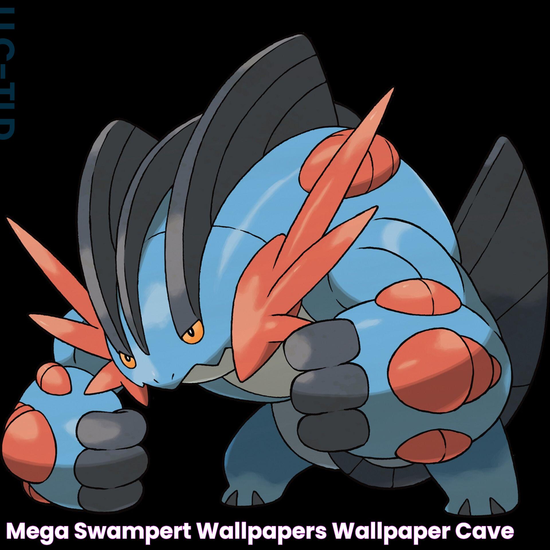 Mega Swampert Wallpapers Wallpaper Cave