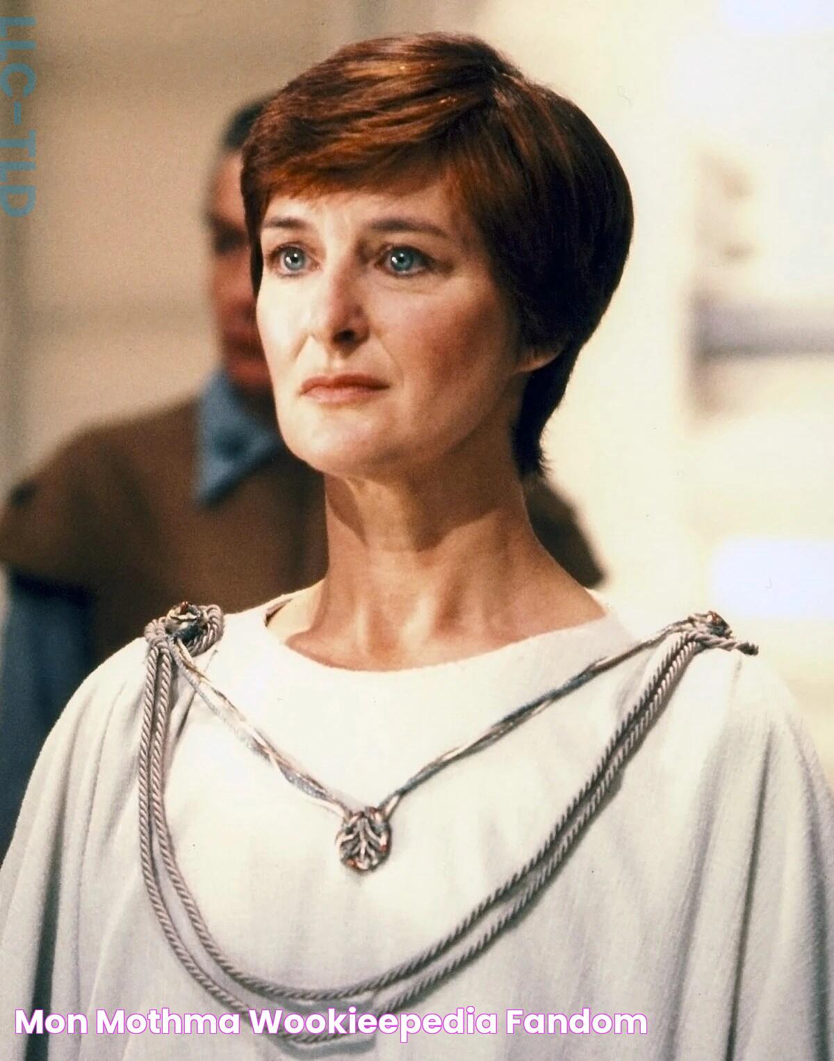 Mon Mothma: The Visionary Leader Of The Rebel Alliance