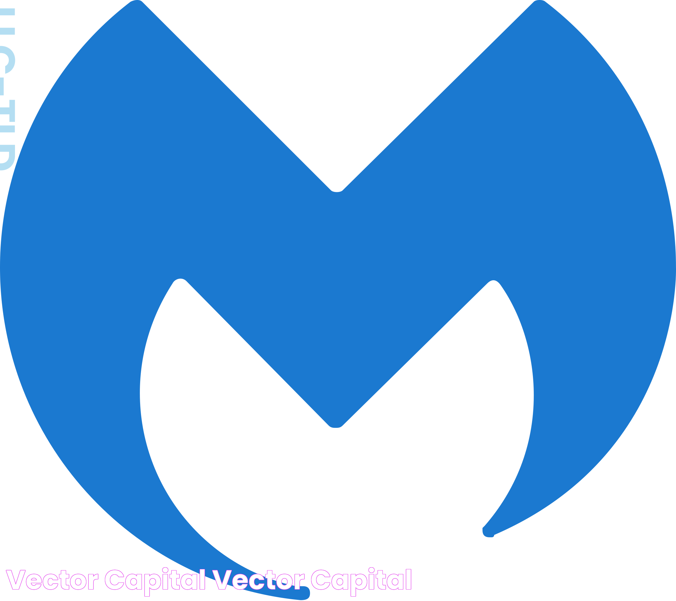 Vector Capital: A Deep Dive Into Strategic Investments