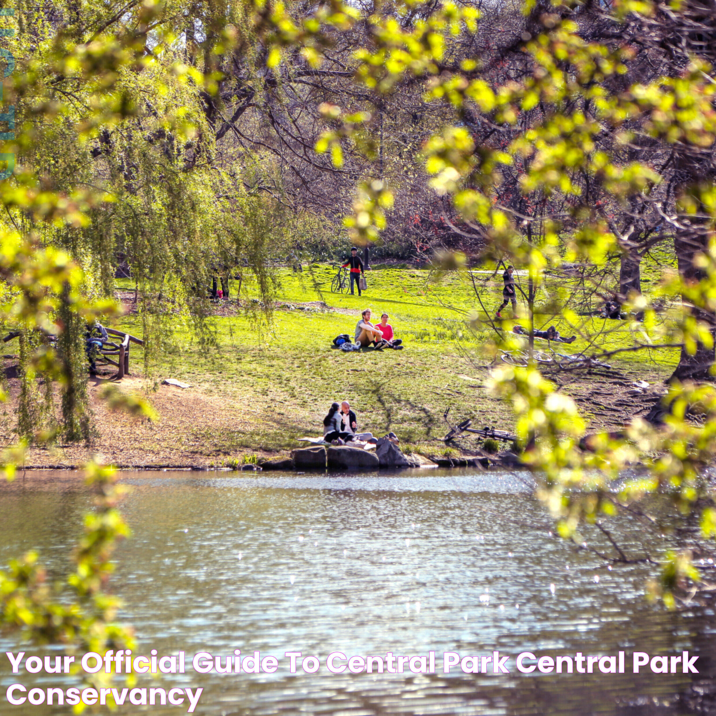 A Complete Guide To Central Park NYC: History, Features, And Tips