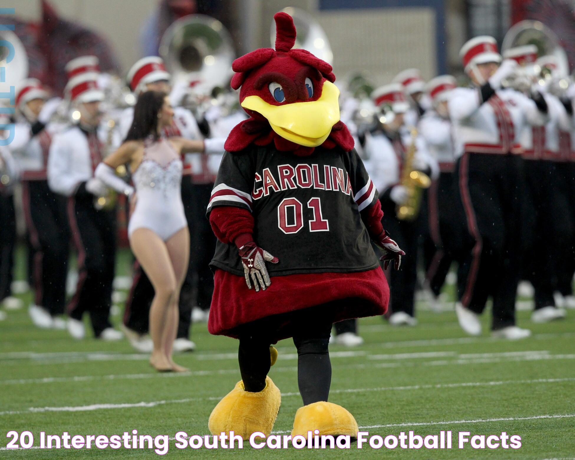 20 interesting South Carolina football facts