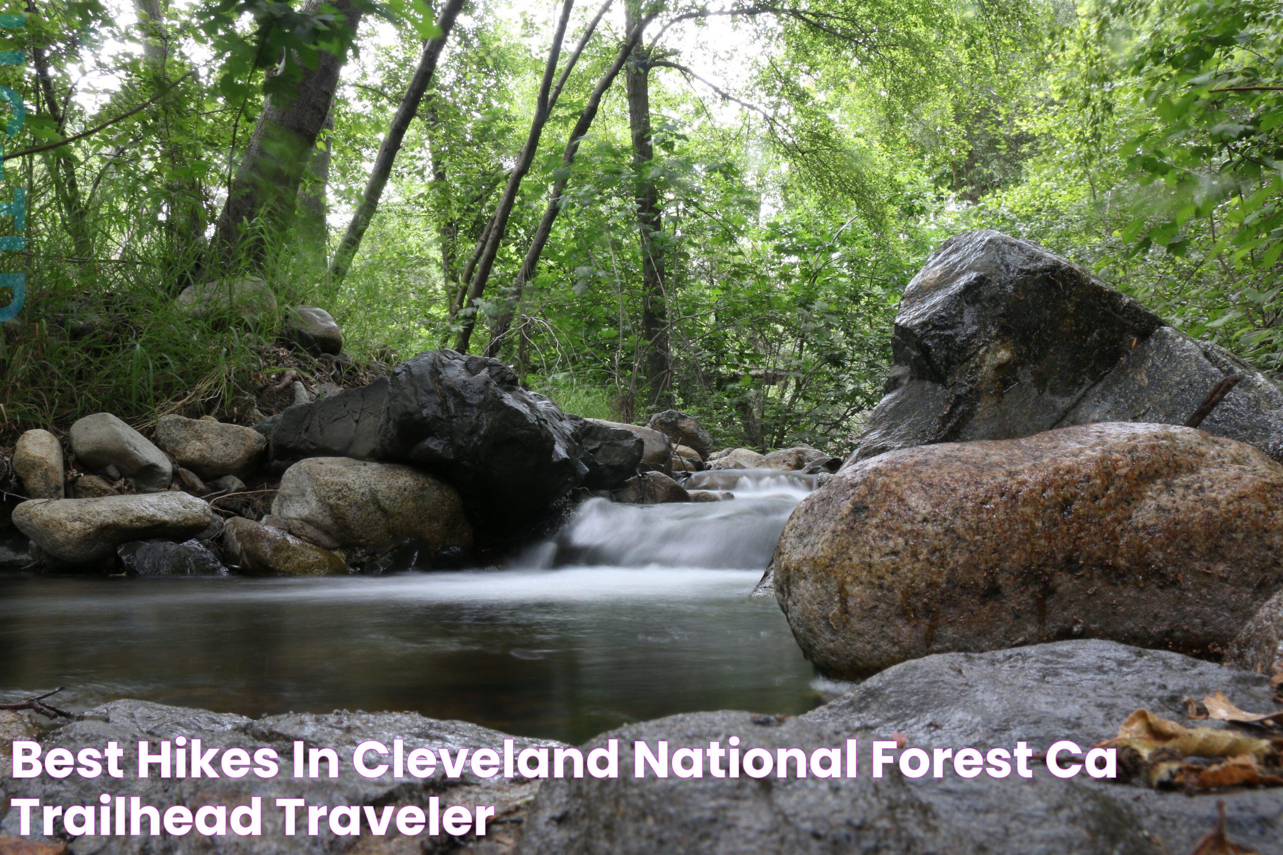 Uncover The Beauty And Charm Of Cleveland National Forest