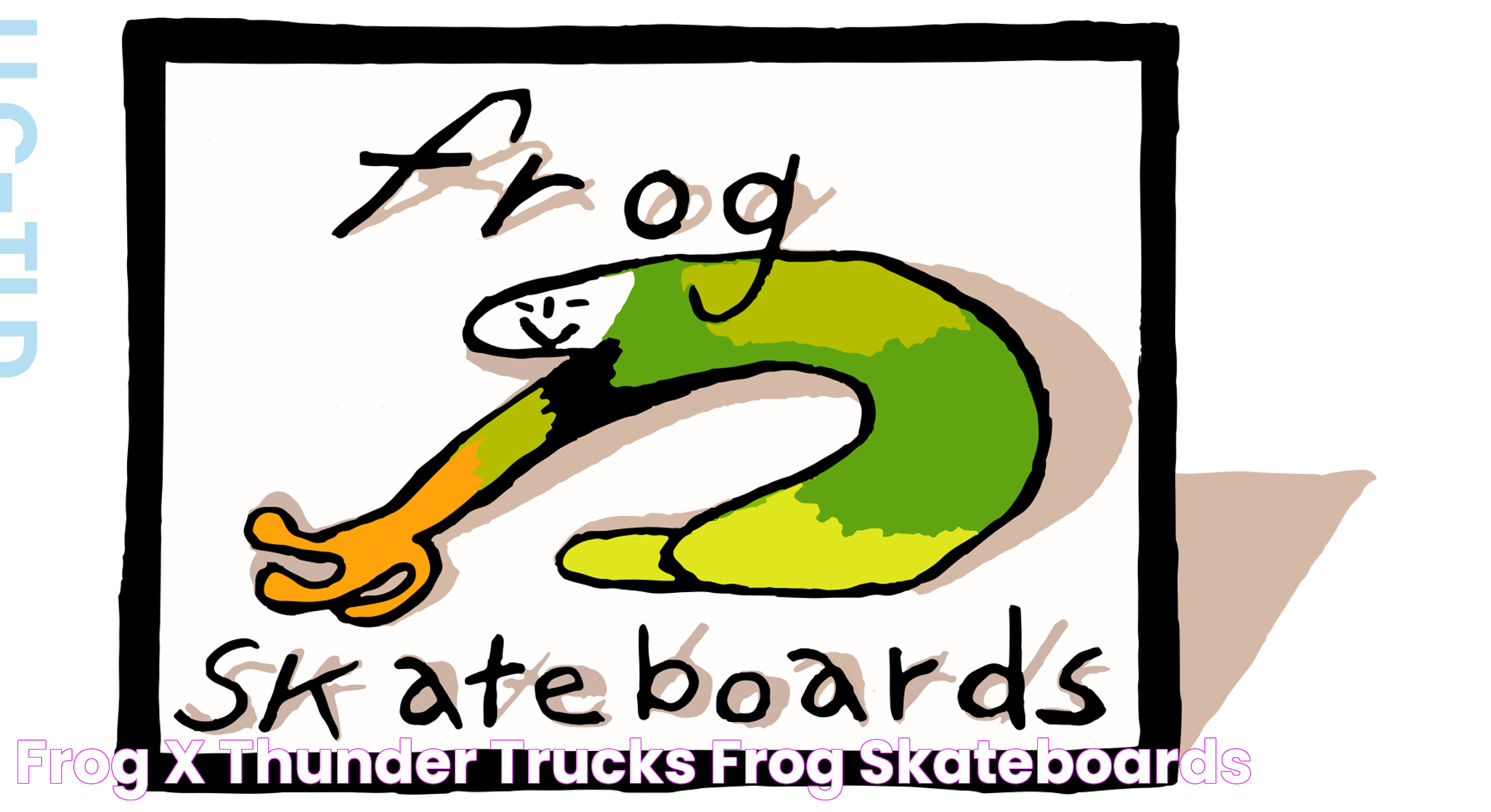 Frog x Thunder Trucks frog skateboards