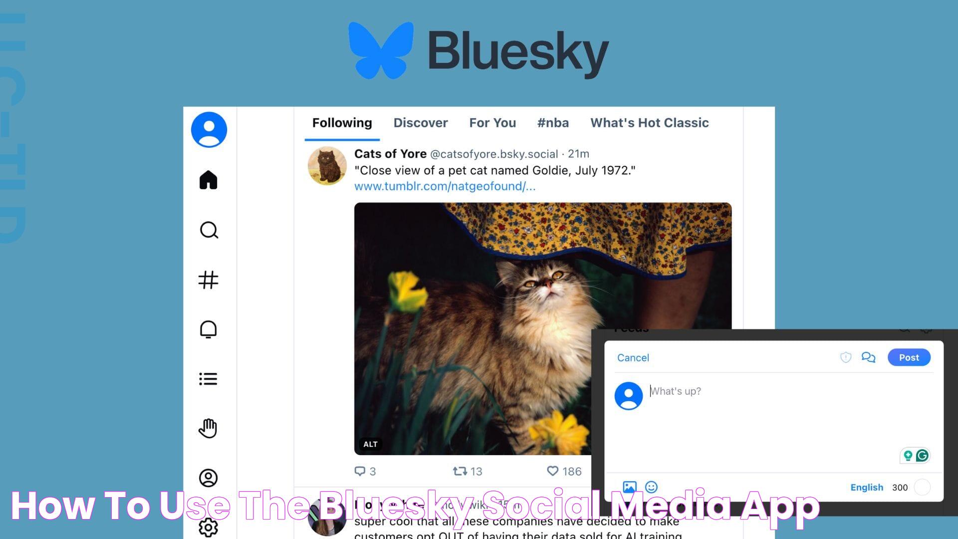 How to Use The Bluesky Social Media App