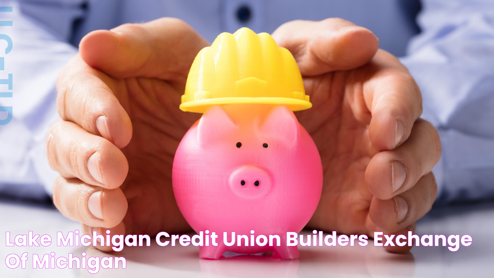 Lake Michigan Credit Union Builders Exchange of Michigan