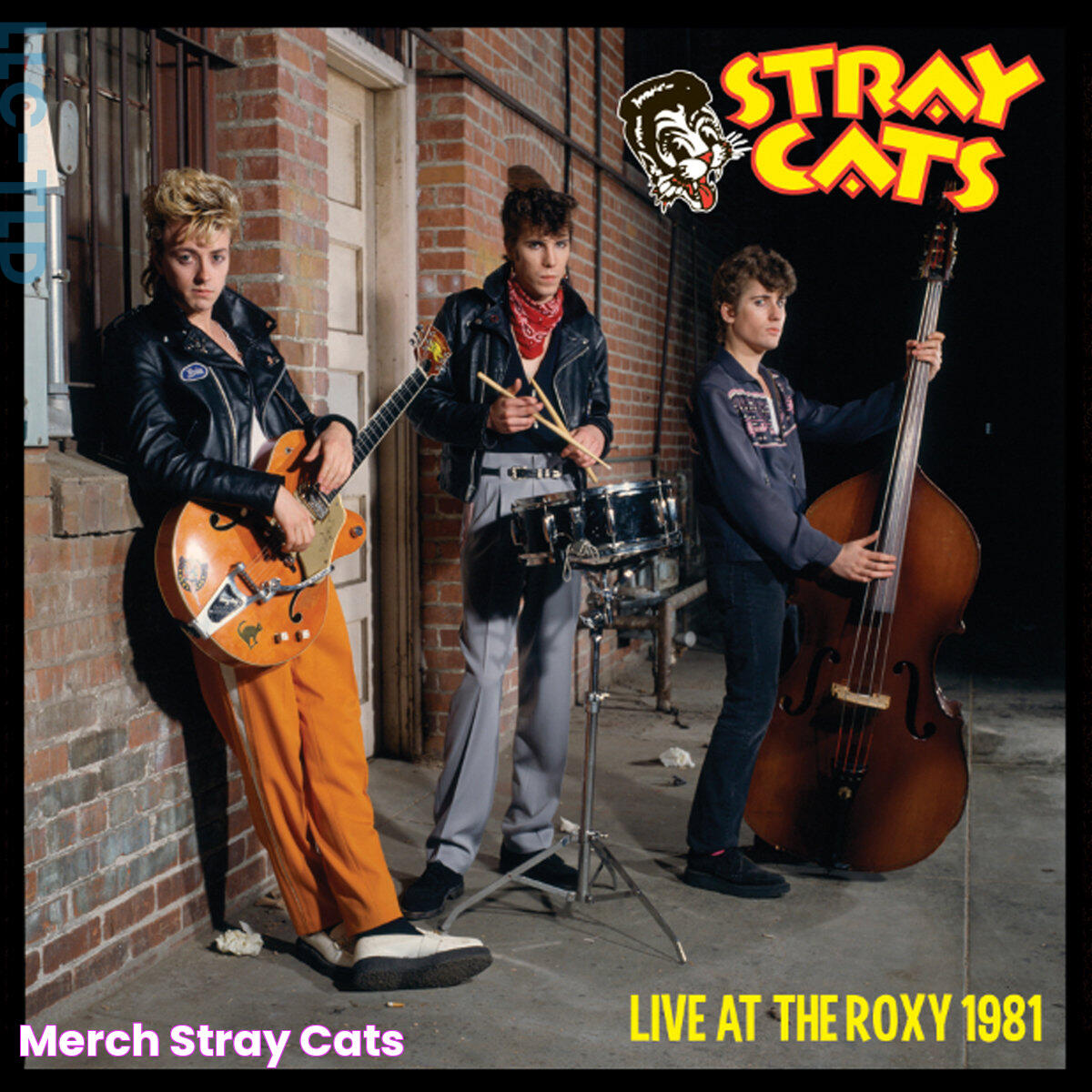 Stray Cats: A Closer Look At Our Feline Friends