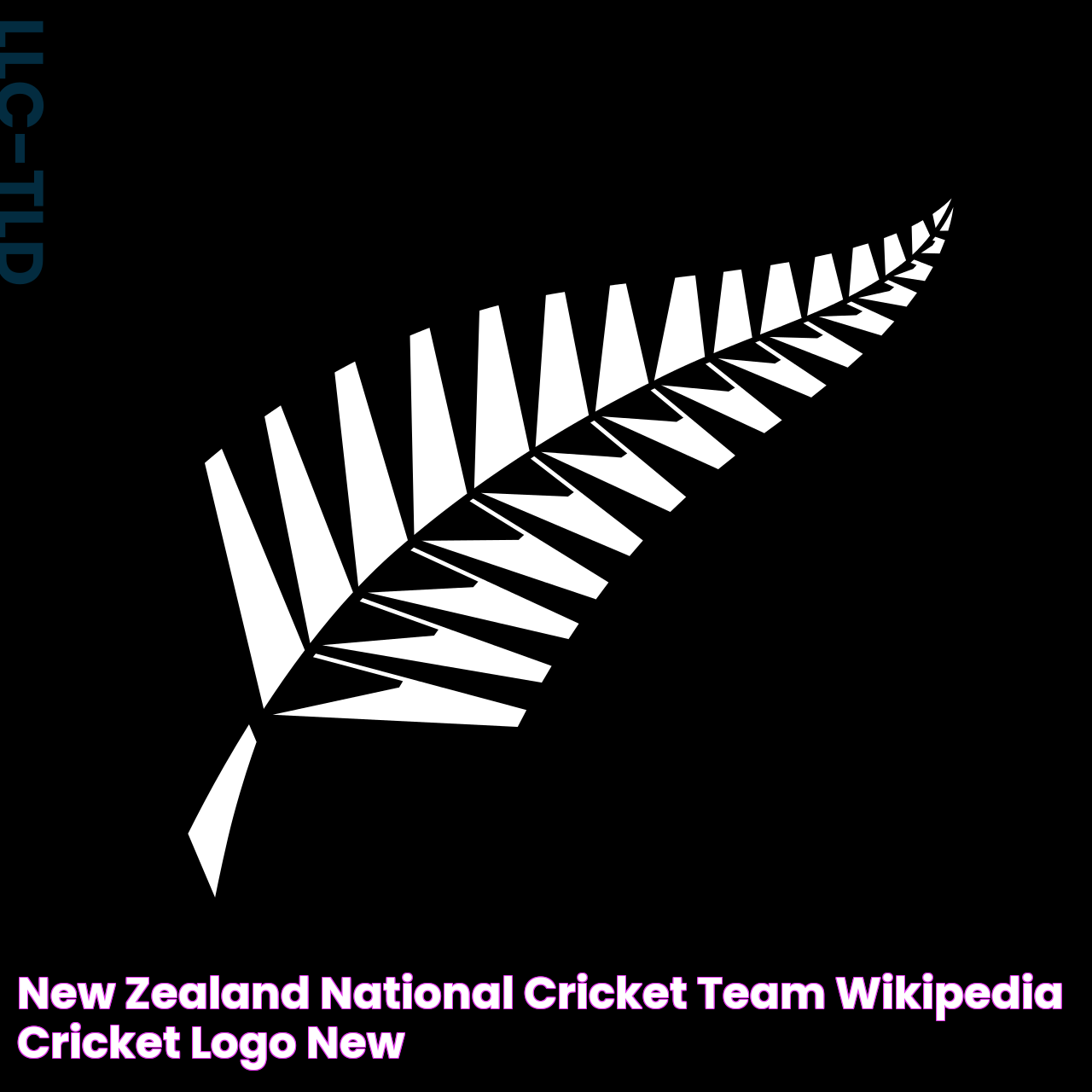 New Zealand National Cricket Team: Excellence In World Cricket