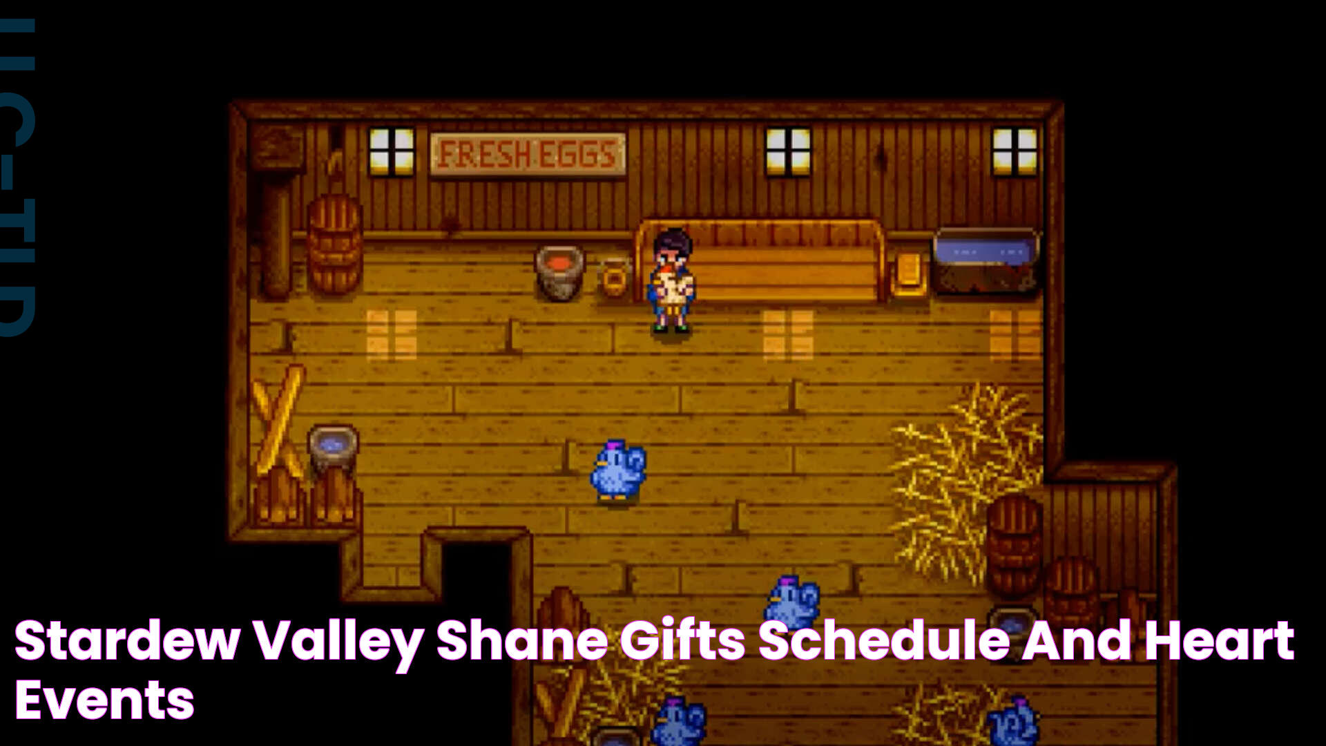 Stardew Shane: A Dive Into The Life And Times