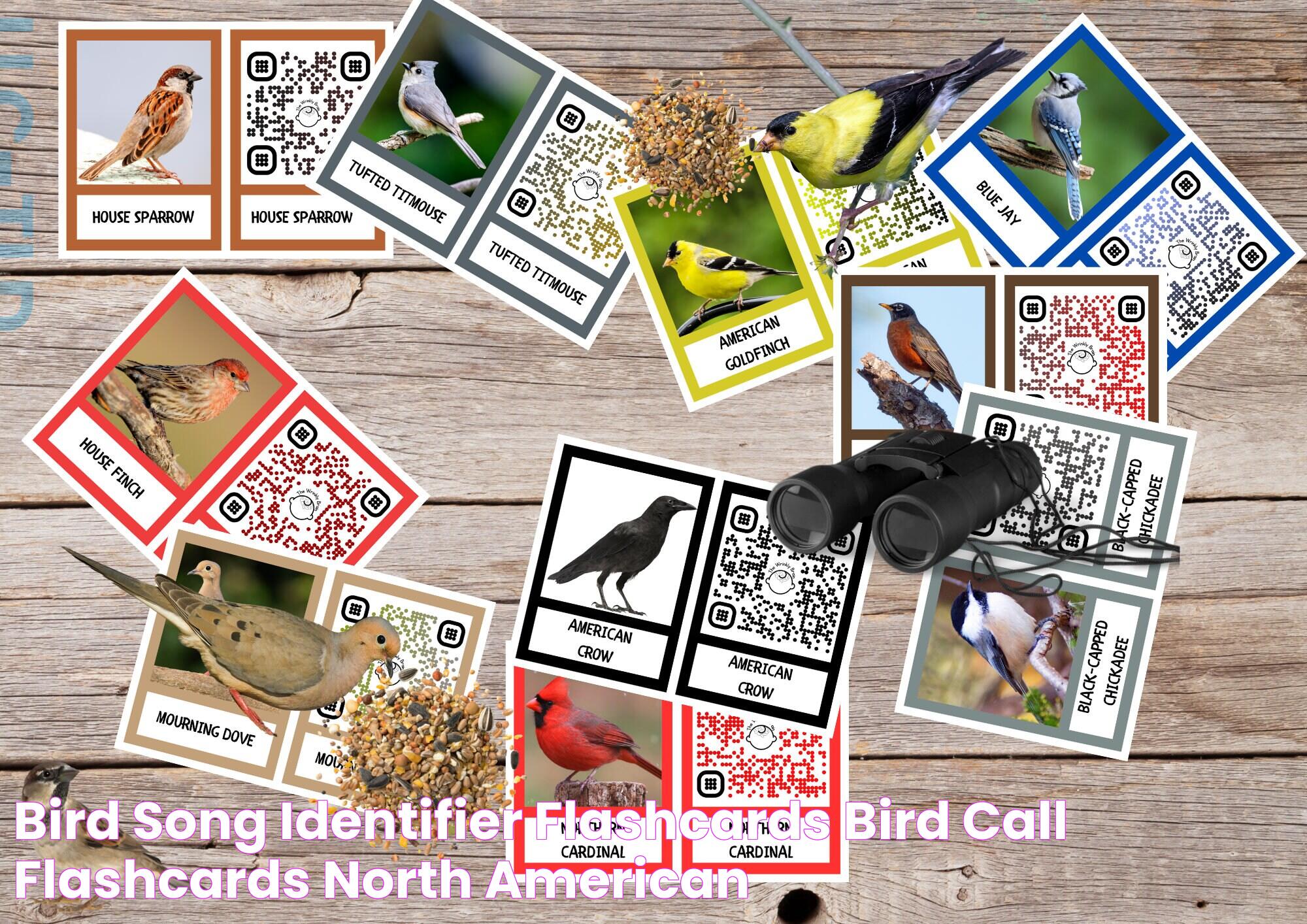 Bird Song Identifier Flashcards, Bird Call Flashcards, North American