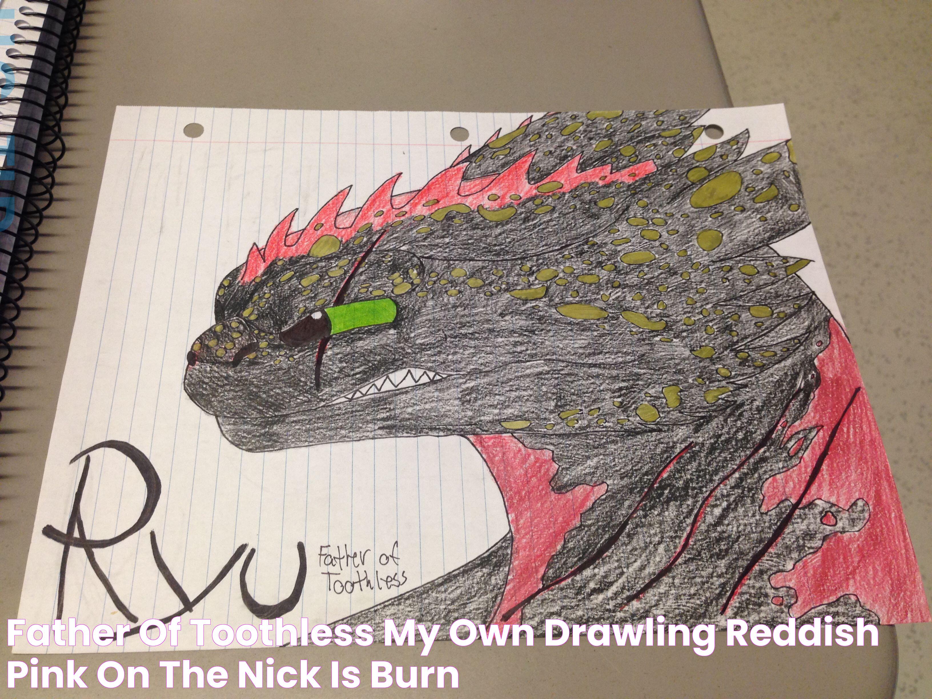 Father of Toothless(my own drawling) reddish pink on the nick is burn