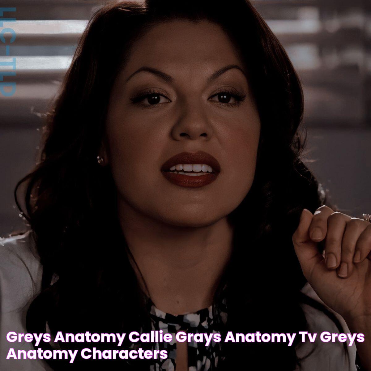 Greys Anatomy Callie, Grays Anatomy Tv, Greys Anatomy Characters