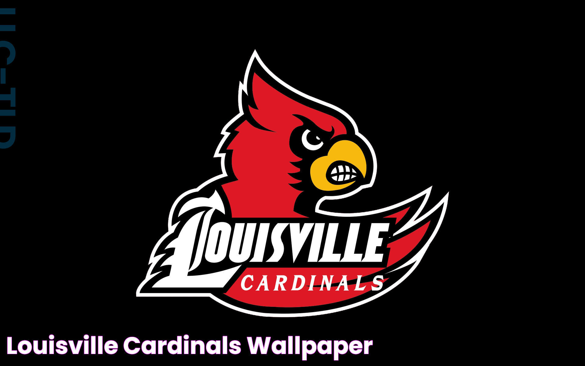 Louisville Cardinals Basketball: A Rich Tradition In College Hoops