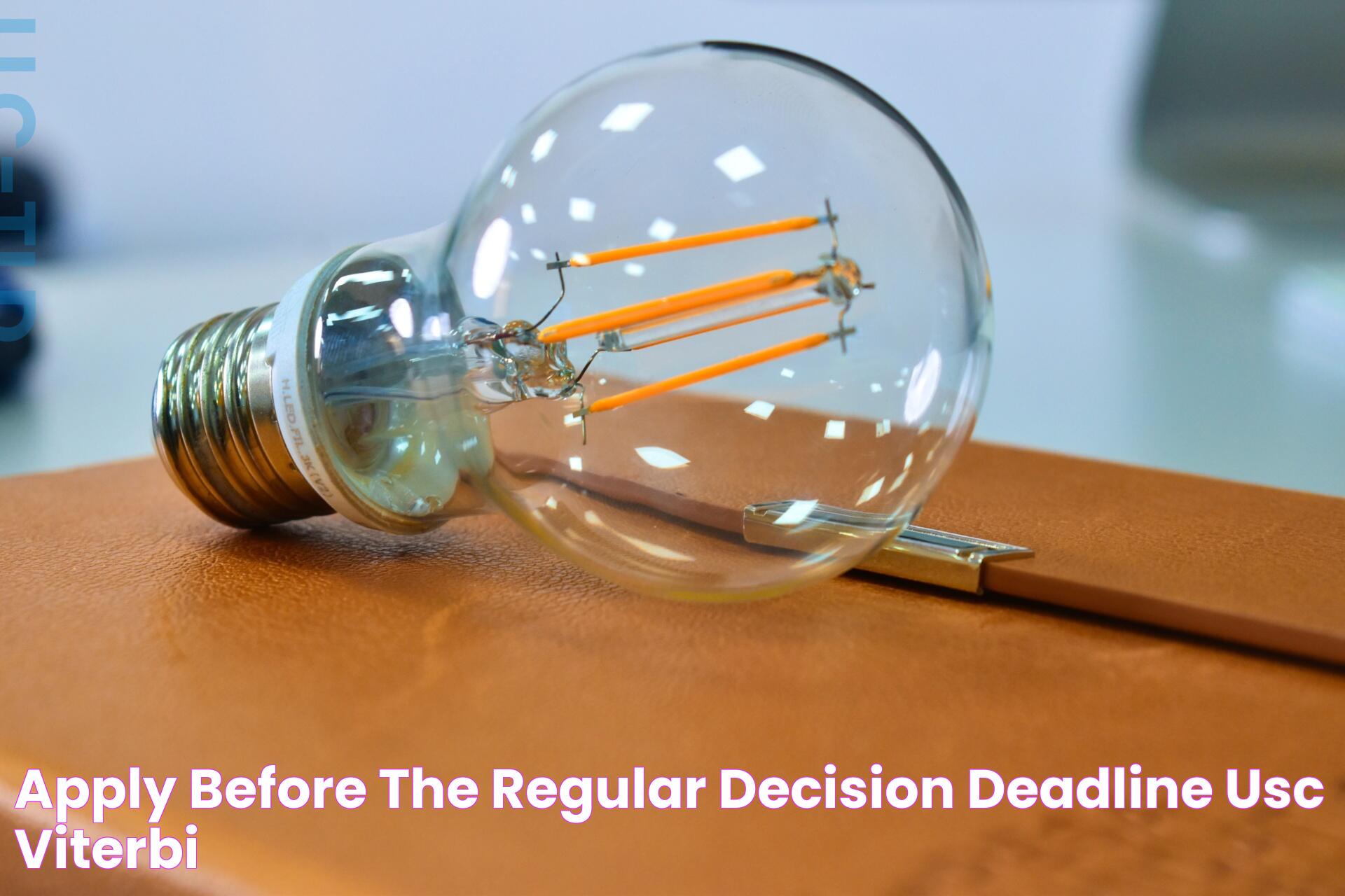 Everything You Need To Know About The Regular Decision Application Deadline For UNG 2024