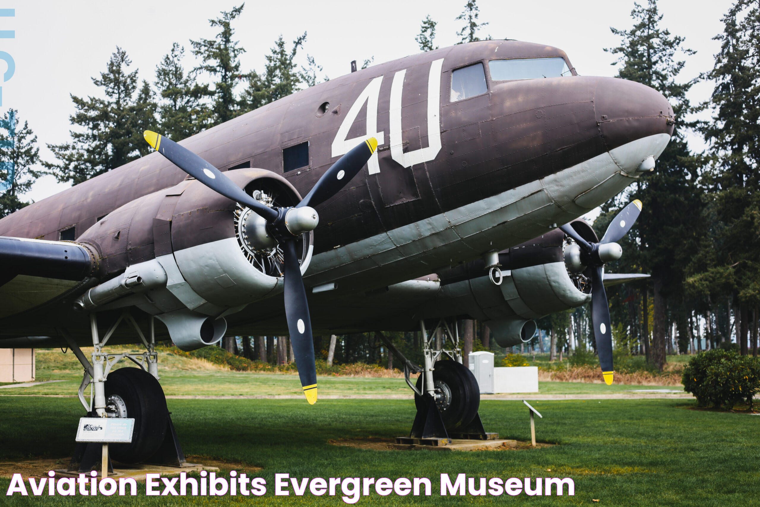 Ultimate Guide To The Evergreen Aviation Museum: A World Of Aviation Wonders