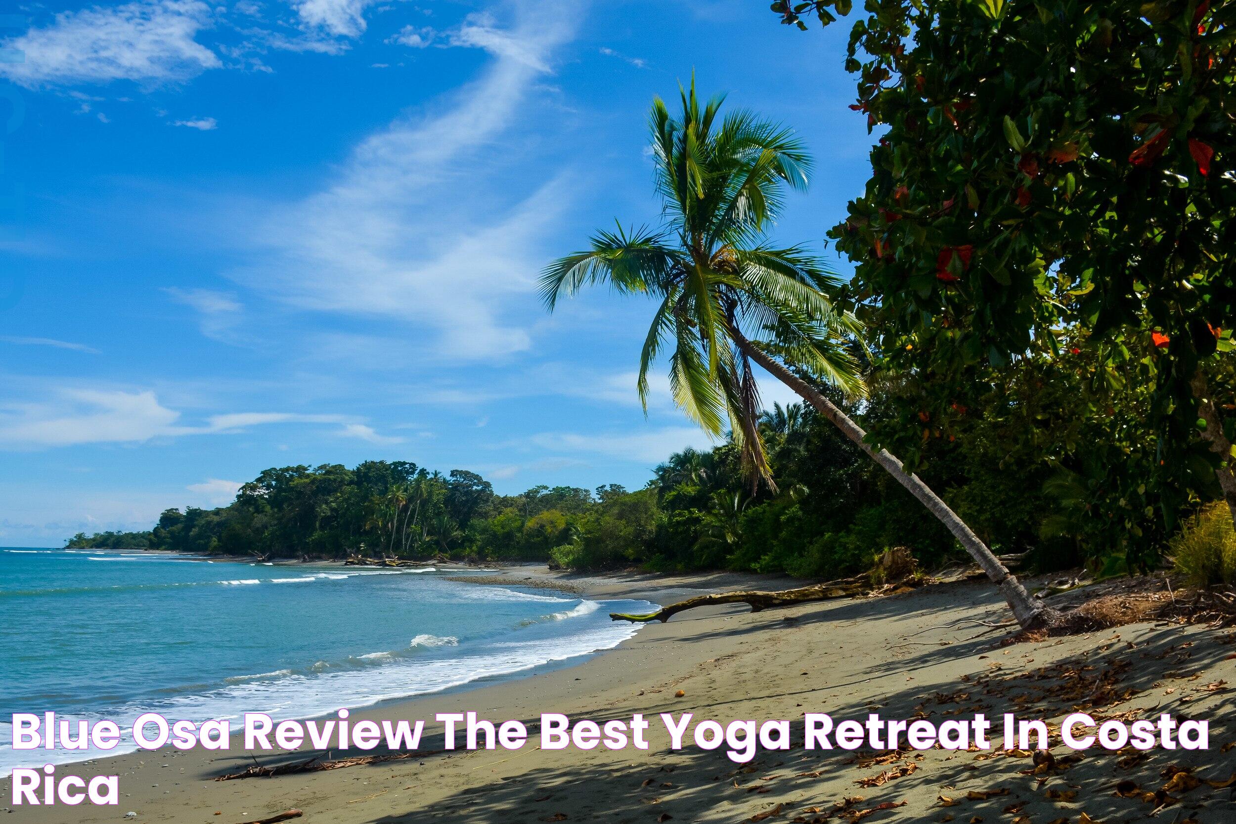 Blue Osa Review The Best Yoga Retreat in Costa Rica