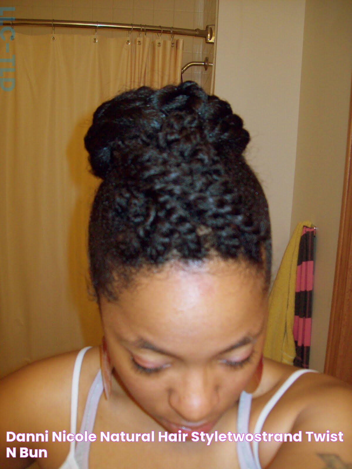 Danni Nicole Natural Hair styletwostrand twist 'n' bun