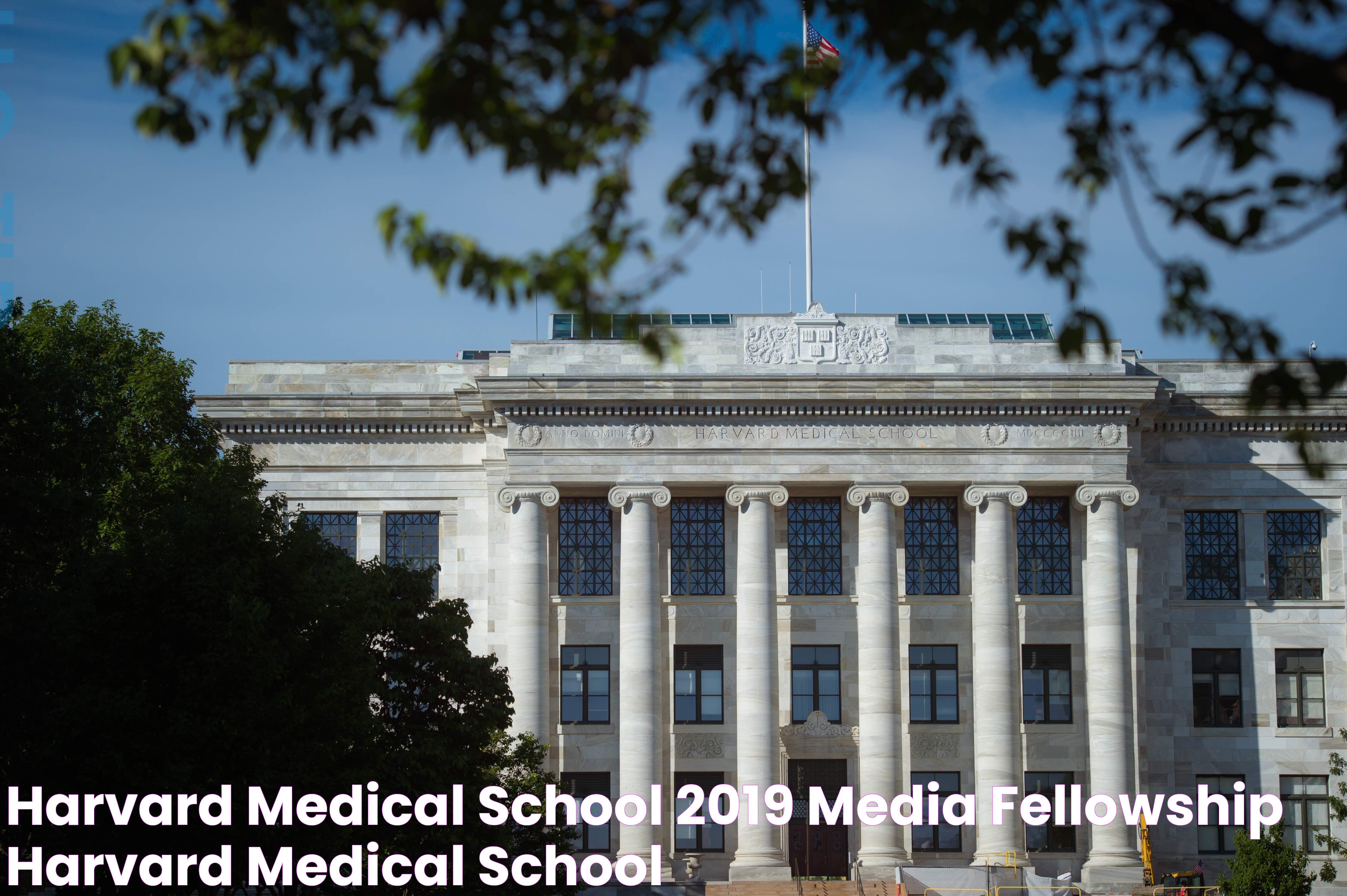 Harvard Medical School 2019 Media Fellowship Harvard Medical School