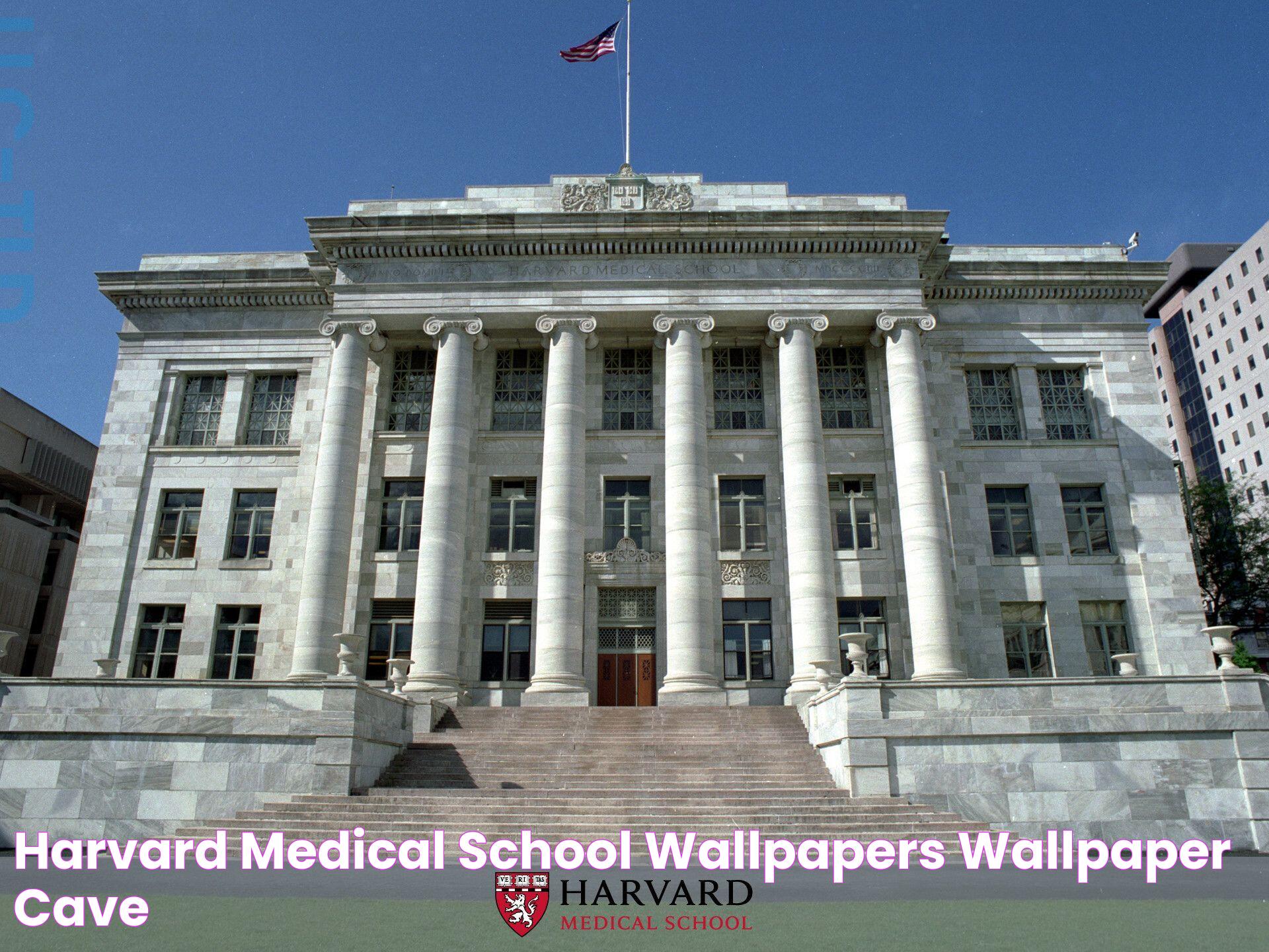 Harvard Medical School: A Guide To Excellence In Medical Education And Research