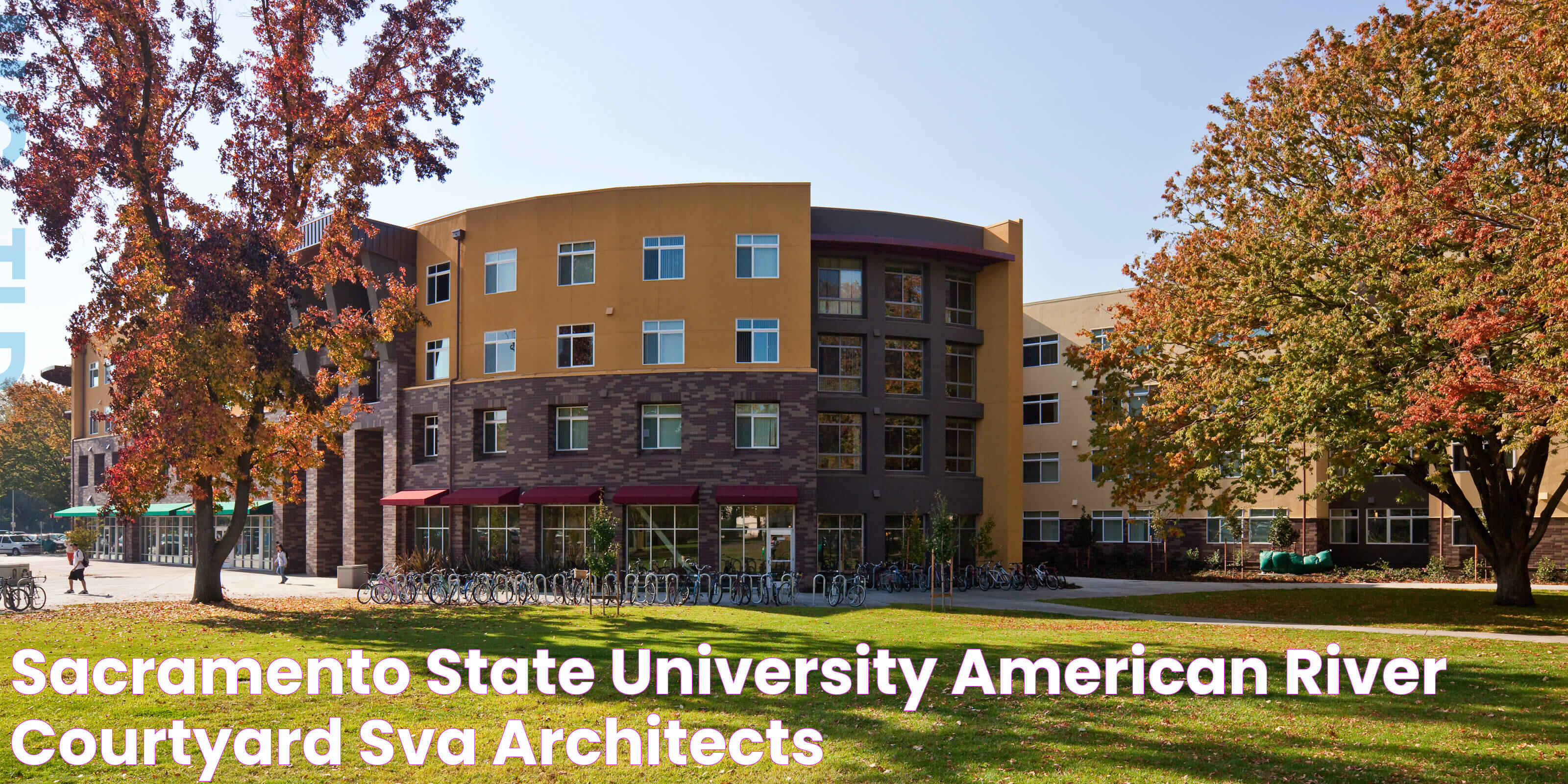 Everything You Should Know About Sacramento State University