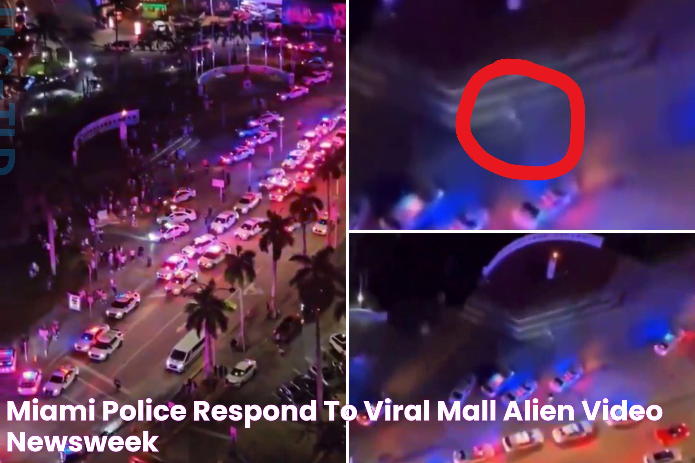 Miami Police Respond to Viral Mall 'Alien' Video Newsweek