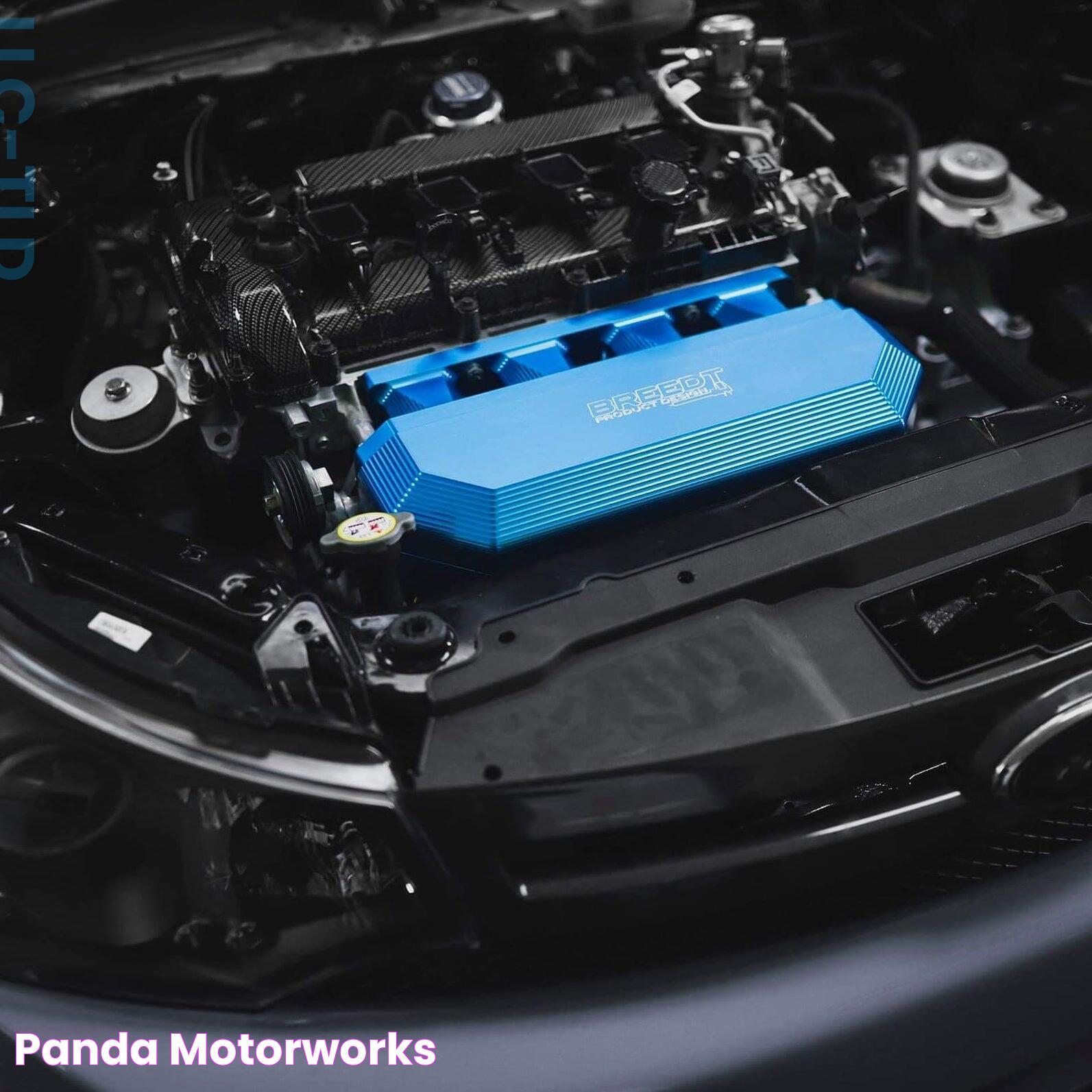 Ultimate Guide To Panda Motorworks: Innovation And Performance