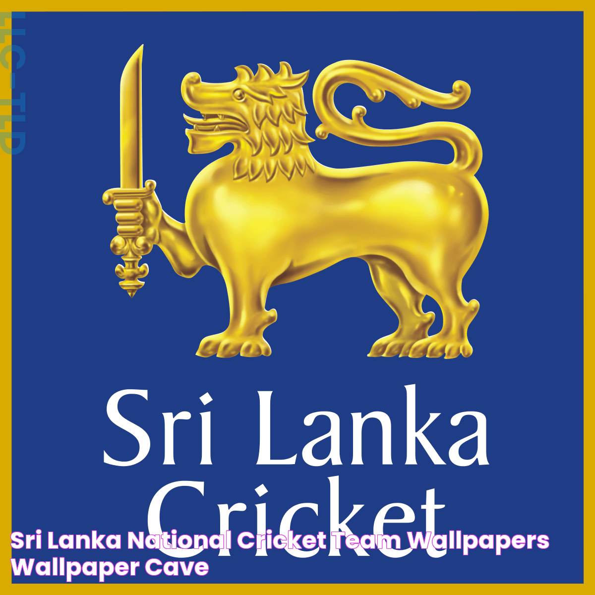 Insights Into The Sri Lanka National Cricket Team: Achievements And Challenges