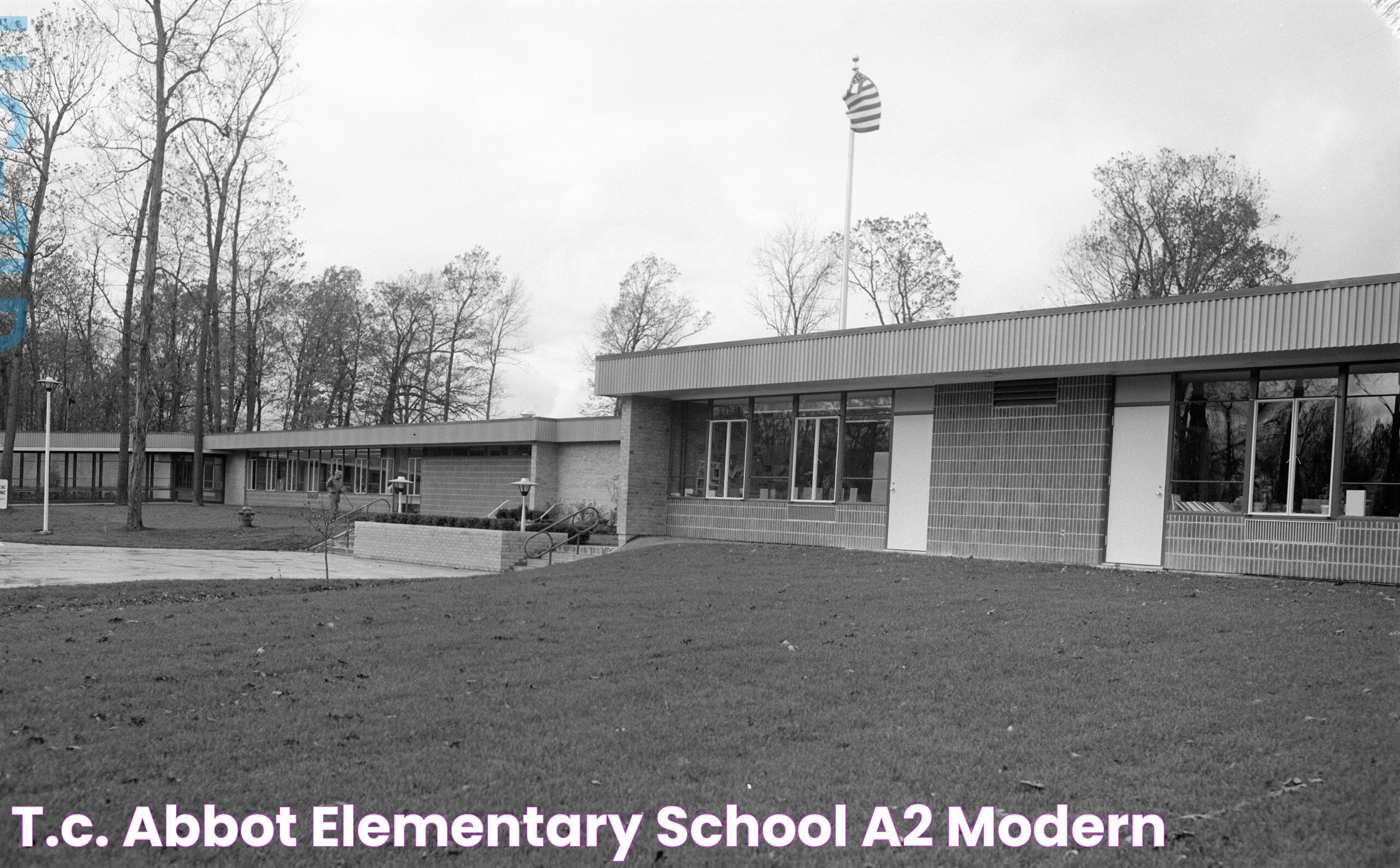 Abbot Elementary School: A Unique Perspective On Modern Education