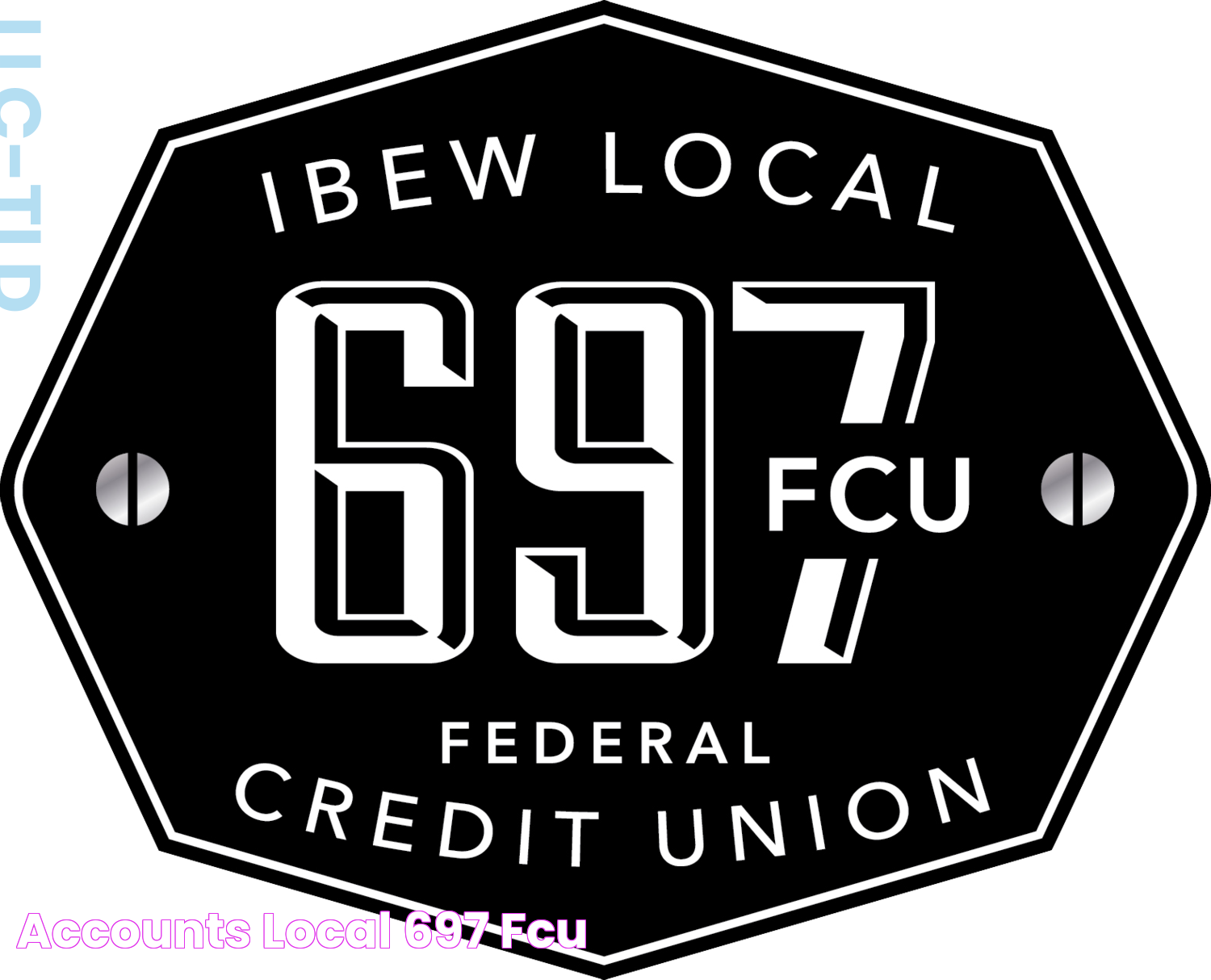 Accounts — Local 697 FCU