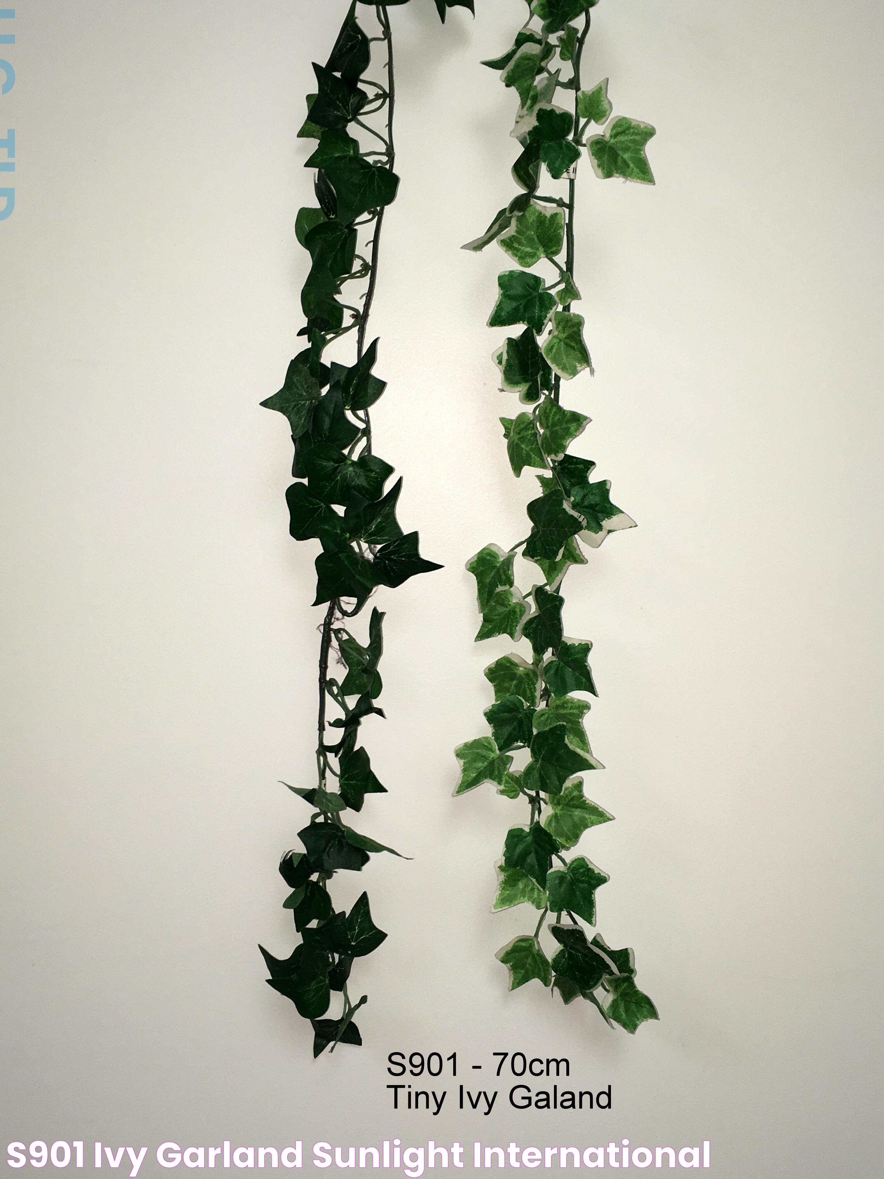 S901 Ivy Garland Sunlight International