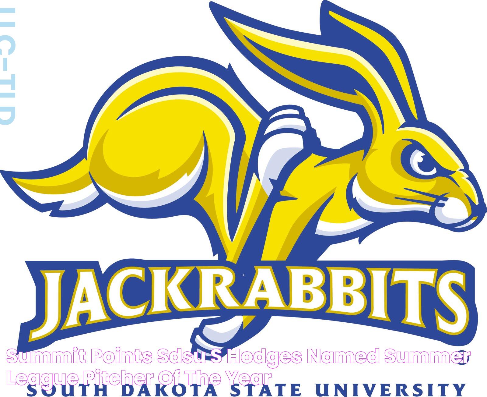 Discovering Dakota State University: A Premier Institution For Tech Innovators