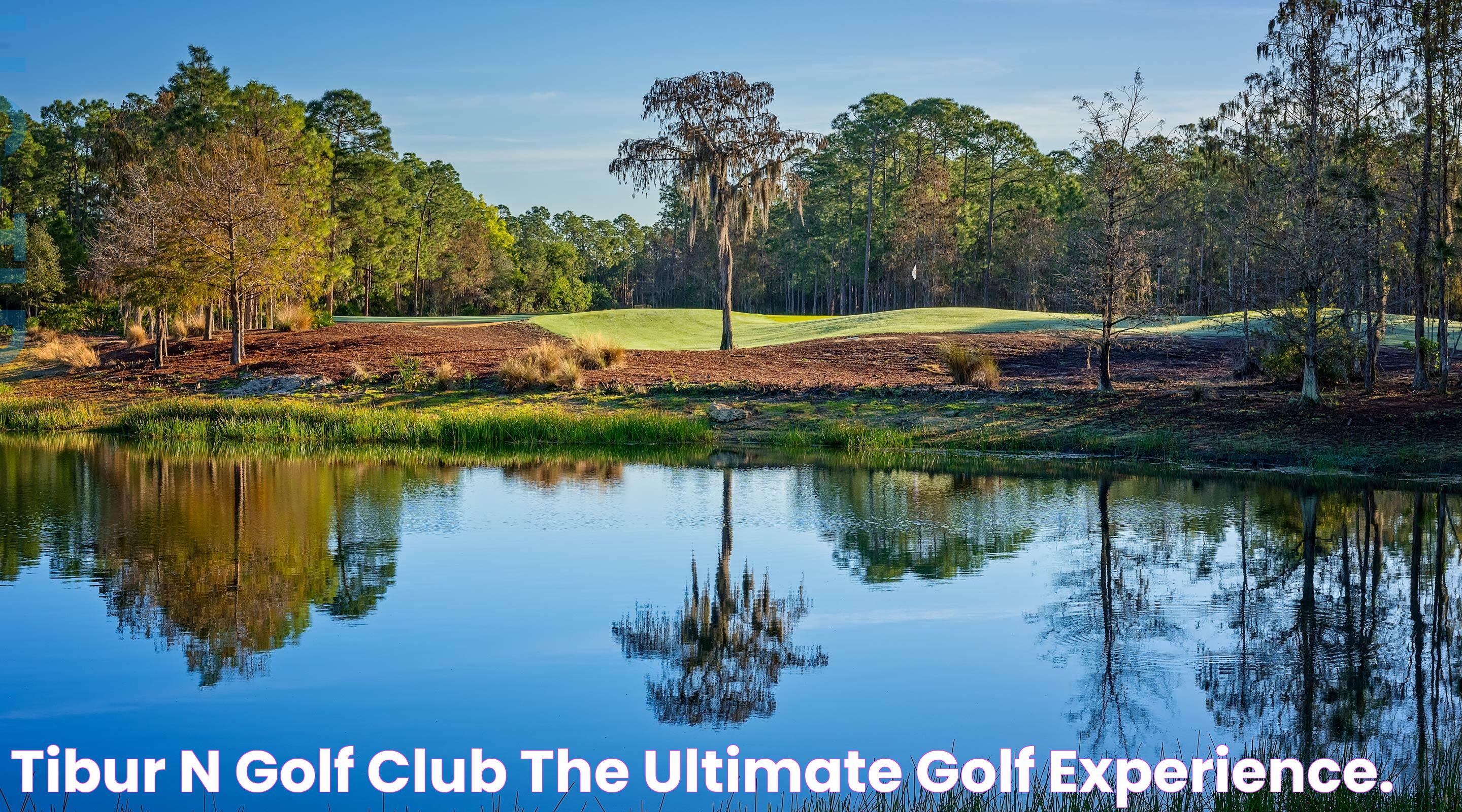 Experience The Thrill Of Tiburon GC Naples FL: A Golfer's Paradise