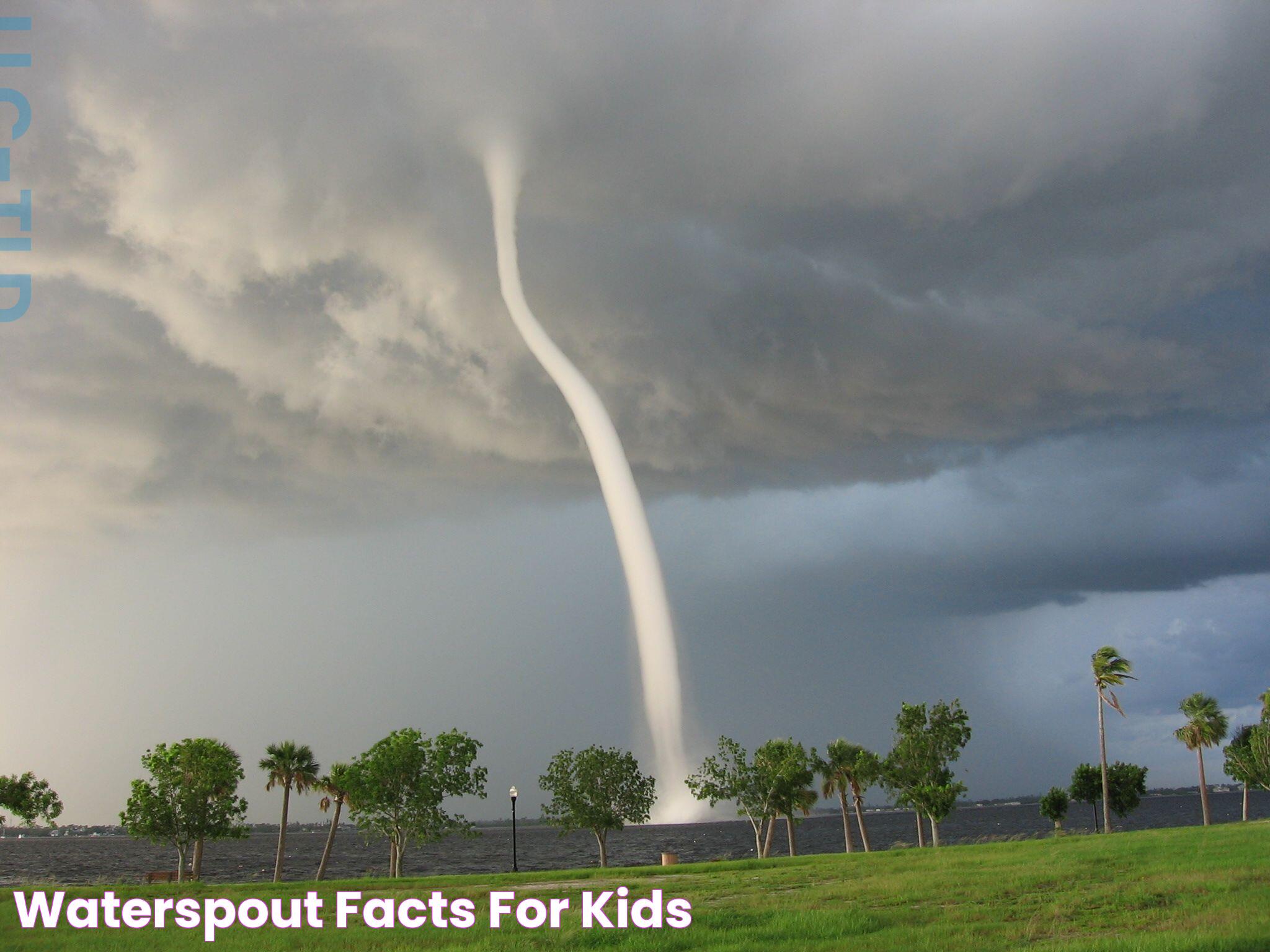 Waterspout Tornadoes: Nature's Majestic Whirlwinds