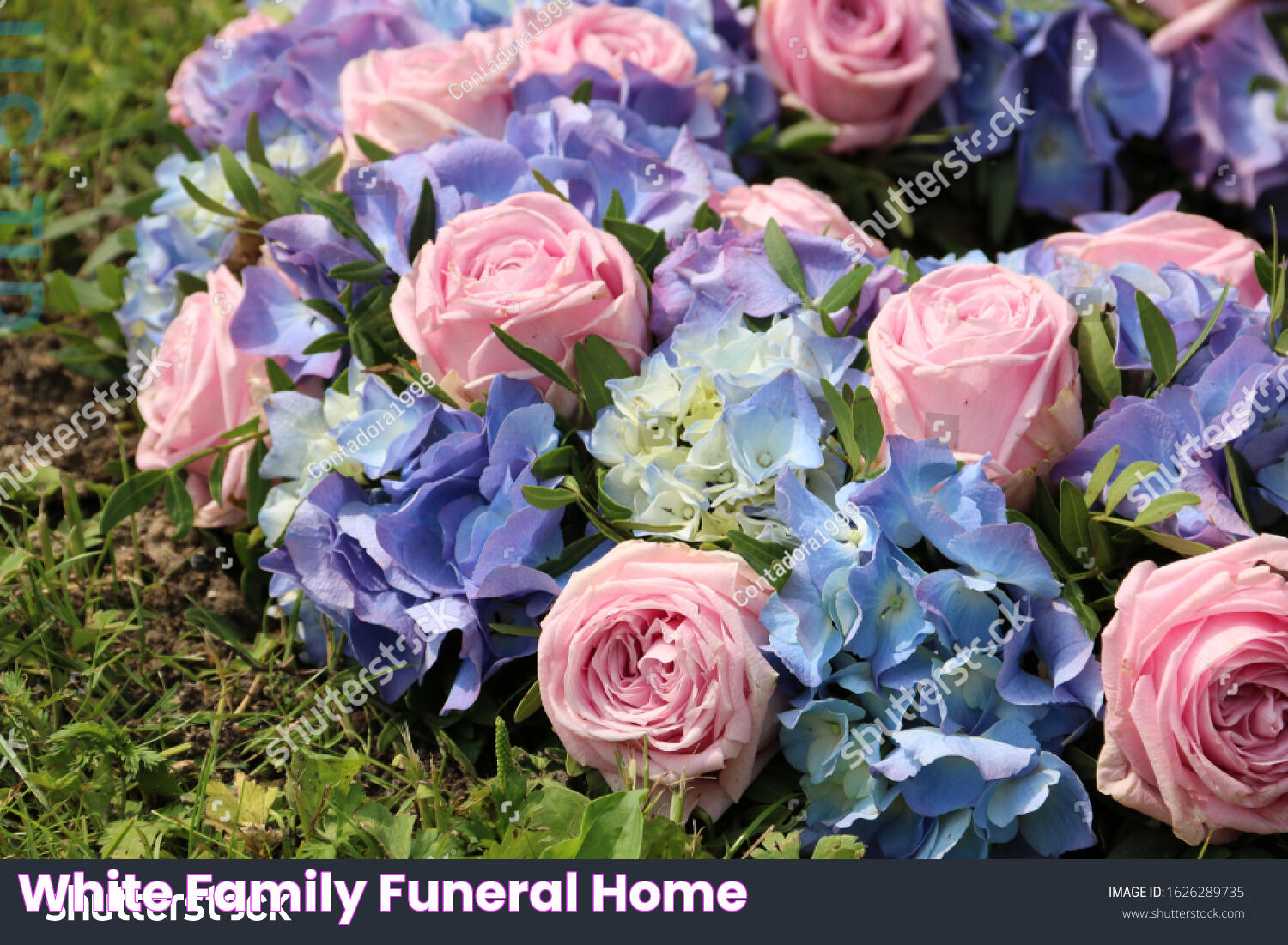 Blue Funeral Home Services: A Guide To Compassion And Care