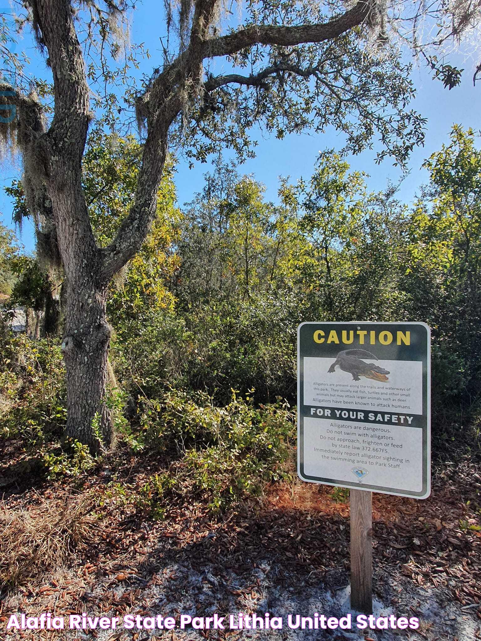 Alafia State Park: A Nature Lover's Paradise In Florida