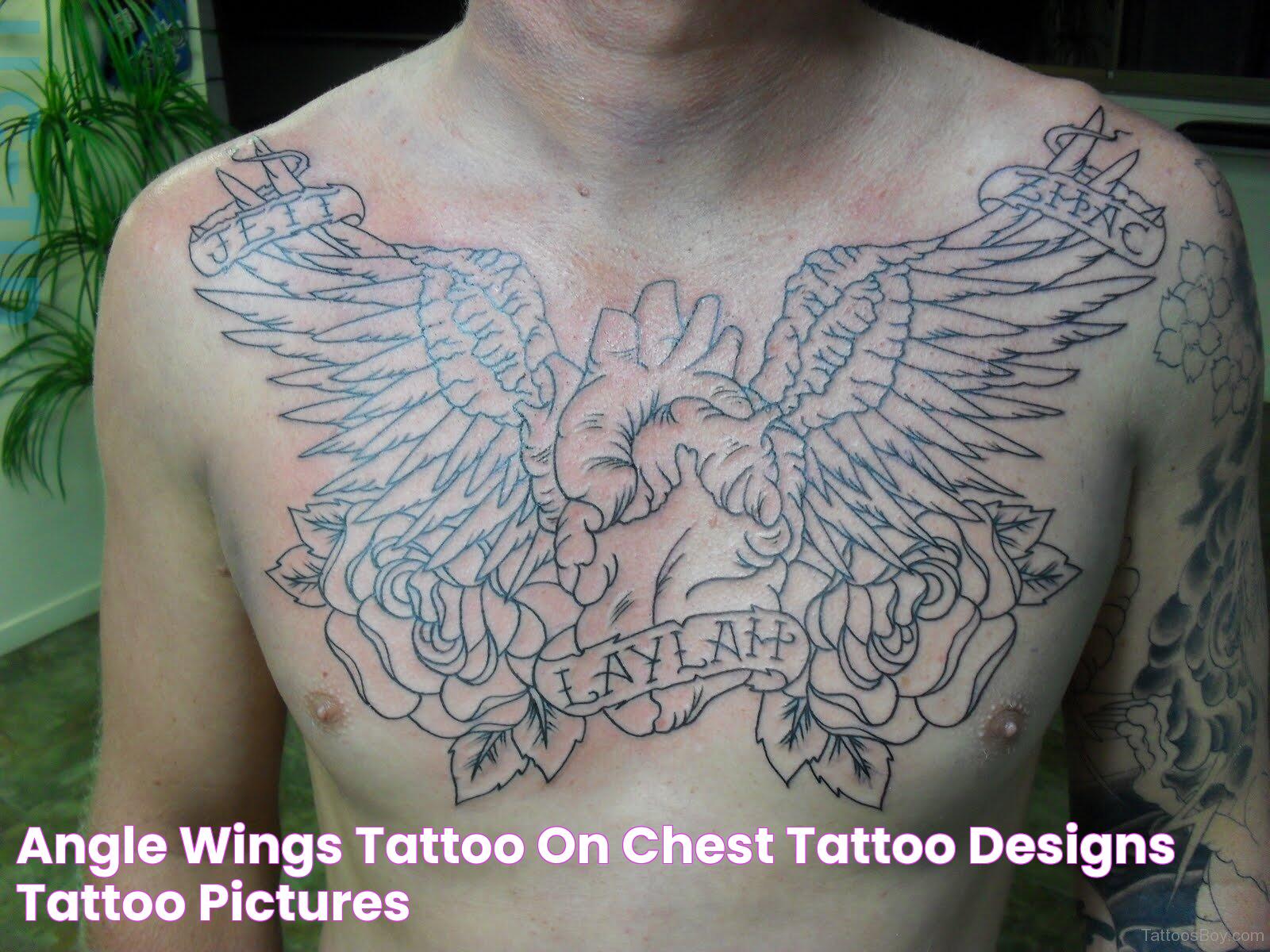 Artistic Tattoos Wings On Chest: Meaning, Design Ideas, And Symbolism