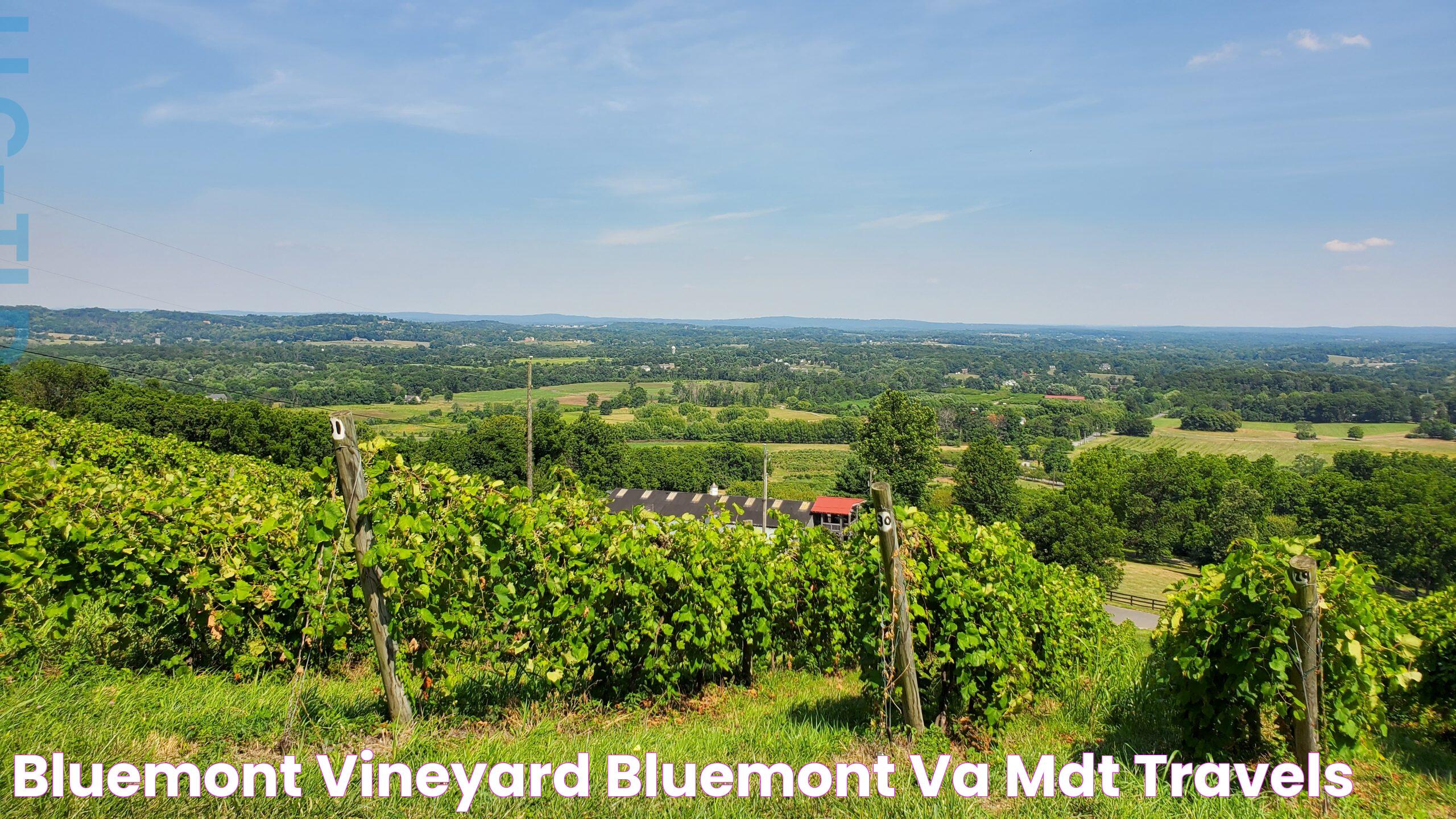 Bluemont Vineyard Bluemont, VA MDT Travels