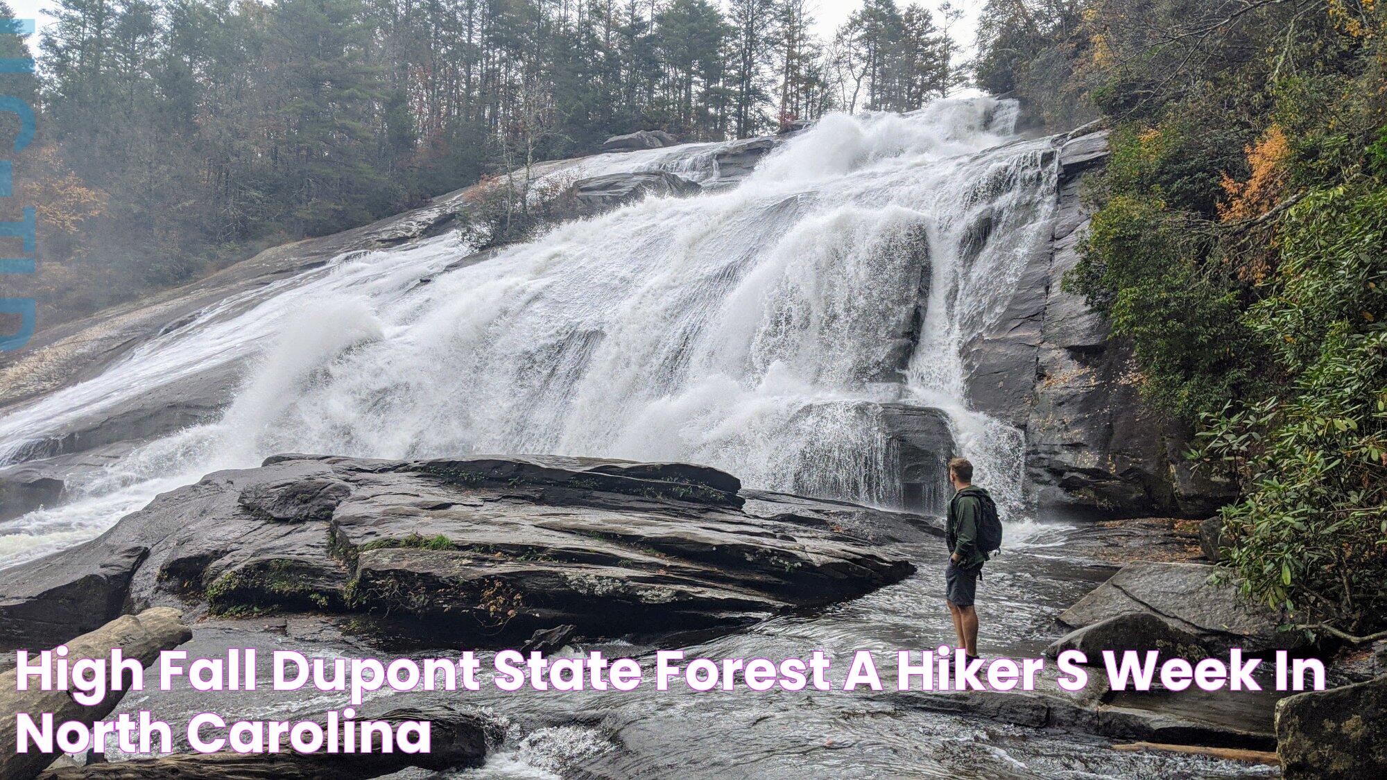 Dupont State Forest: A Natural Wonderland For Outdoor Enthusiasts