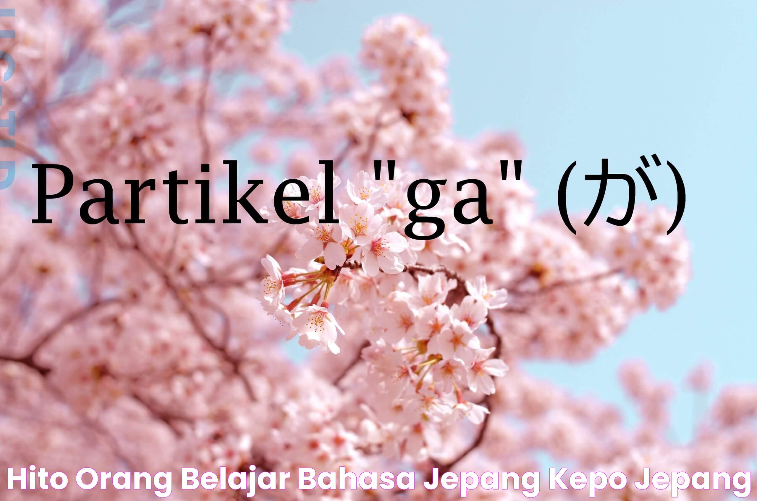 Hito (Orang) Belajar Bahasa Jepang Kepo Jepang