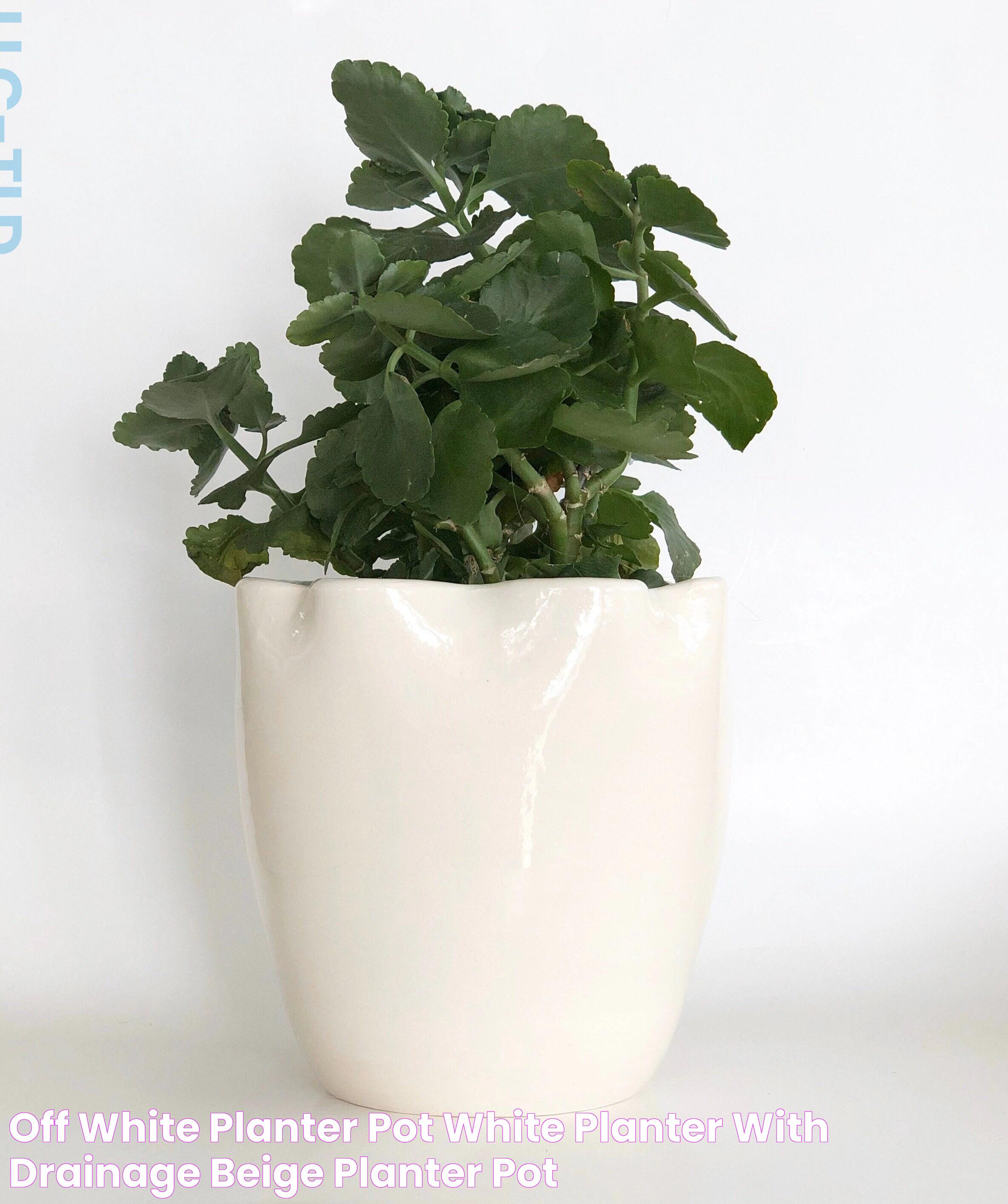 Stylish And Functional: Planter With Hidden Shelves Inside White