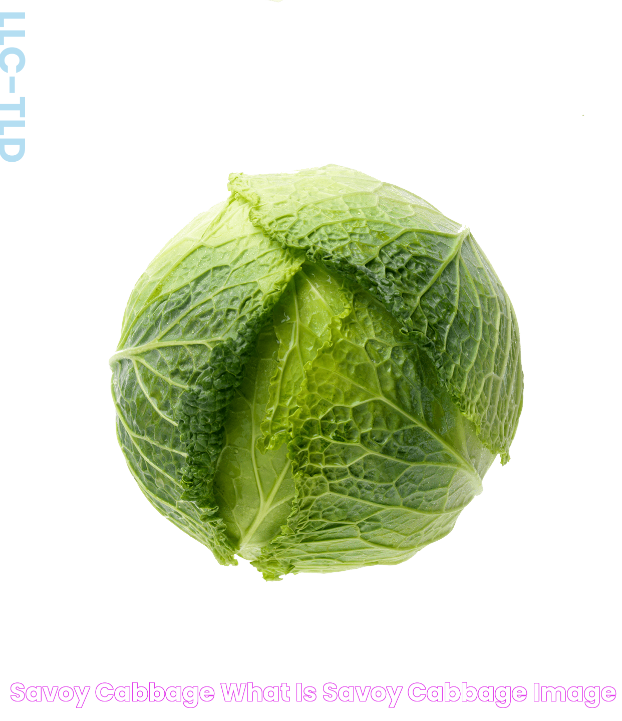 Savoy Cabbage What is Savoy Cabbage? Image