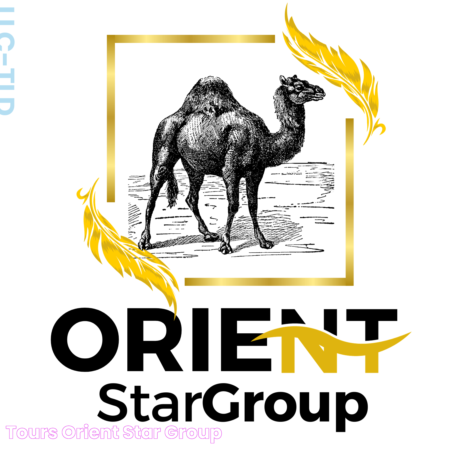 Tours Orient Star Group